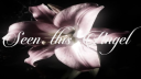 First Class Angels server banner