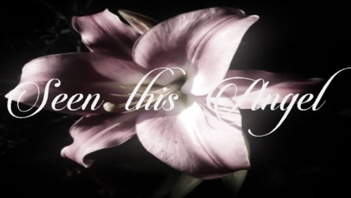 First Class Angels Discord server banner