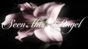 First Class Angels server banner