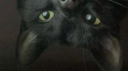 xcq3 Discord server banner