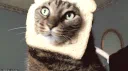 𐔌Cats&Loaves ₍^. .^₎⟆ 🍞 Discord server banner