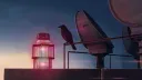 WBSTIP Discord server banner