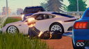 Texas State Roleplay Banner