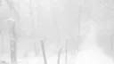 /cloth • discontinued banner