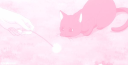 ✮`, 𝙍𝙤𝙨𝙚 𝙦𝙪𝙖𝙧𝙩𝙯 𝘿𝙈 .ᐟ.ᐟ Discord server banner