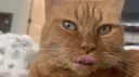 Meet me in Montauk Discord server banner