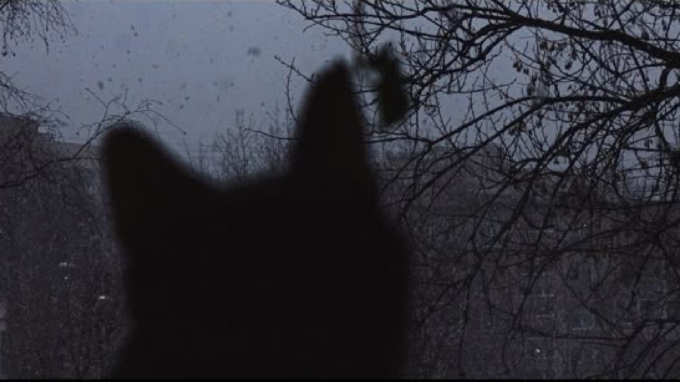 /𝒾𝓃𝑜𝓁𝒶 Discord server banner