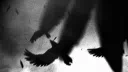 Just A Random Murder Of Crows Discord server banner
