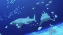sharky Discord server banner