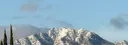 Nature Dex#7002 banner