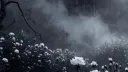 neat banner