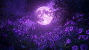 Moon’s Sanctuary server banner