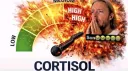 愛 /Angelcord ࣪ ִֶָ☾. server banner