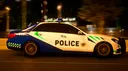 RWL | POLICE MOD banner