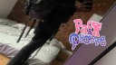iPaw #packphobic Discord server banner
