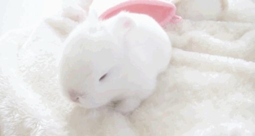 𐔌՞ ܸ.ˬ.ܸ՞𐦯 hii (SLOW revamp in progress)♡⸝⸝ gaming ♡⸝⸝ icns Discord server banner