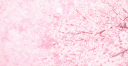 𐔌՞ ܸ.ˬ.ܸ՞𐦯 hii (SLOW revamp in progress)♡⸝⸝ gaming ♡⸝⸝ icns banner