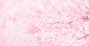 𐔌՞ ܸ.ˬ.ܸ՞𐦯 hii (SLOW revamp in progress)♡⸝⸝ gaming ♡⸝⸝ icns Discord server banner