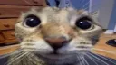 Type shi .ᐟ Discord server banner