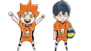 𓂅　hichew　⬭　haikyuu banner