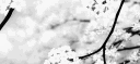 /aide banner