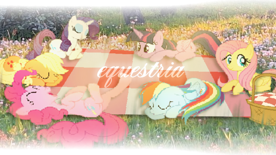 𑣲 ࣪ ˖ 𝓔quᥱstrιᥲ ゛ ✿ Discord server banner