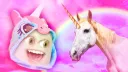 happiest fun timings ! ⋆✮ server banner