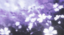 ୨୧ ฺ ˖ Ṁööṅḷïẗ 𓏻 Ḷïḷïëṡ 🦢 ◡◡ Discord server banner