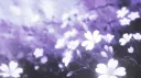 ୨୧ ฺ ˖ Ṁööṅḷïẗ 𓏻 Ḷïḷïëṡ 🦢 ◡◡ Discord server banner
