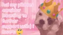 pibble palace ♡ banner
