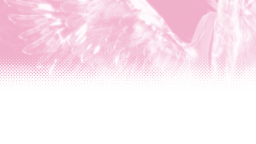 🎨 ✦ The Golden Knight ‹𝟹 🗡 Discord server banner