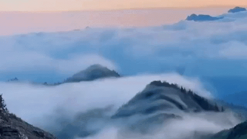 DNA & History Discord server banner