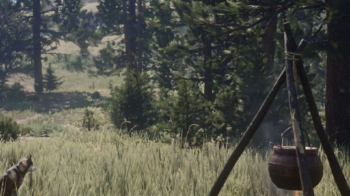 ⌗ ⸝⸝⸝ 𓂃 𝒞amp Evergreen Discord server banner