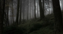𝑇ℎ𝑒 𝐹𝑜𝑟𝑏𝑖𝑑𝑑𝑒𝑛 𝐴𝑟𝑐ℎ𝑖𝑣𝑒 ⋆˚࿔ Discord server banner