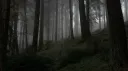 𝑇ℎ𝑒 𝐹𝑜𝑟𝑏𝑖𝑑𝑑𝑒𝑛 𝐴𝑟𝑐ℎ𝑖𝑣𝑒 ⋆˚࿔ Discord server banner