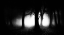 @ nights Discord server banner