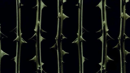 POINT OF NO RETURN Discord server banner