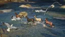GGI Equestrian banner