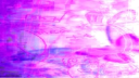 lexycat 💗 server banner
