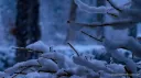 𝚃𝚑𝚎 𝙸𝚌𝚎 𝙻𝚊𝚔𝚎 Discord server banner