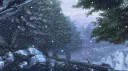 ZENTRAX ™ │ Indian Community • Hindi • Active • Hangout • Vc server banner