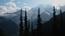 ﹕⸝⸝ opıa Banner