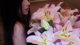 /delusional | sfw | scl | gws | active server banner