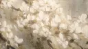 ◠◠　౨ৎ　𝓑𝙪𝙣𝙣𝙞𝙚𝙨 𝓓𝙚𝙣  !!　₊  🥞 server banner