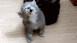 I love HD abusers Discord server banner