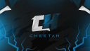 Cheetah Cfw [ ch0 ] Discord server banner