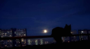 .🌙.  MidNight ™ | Chill・Community・VC • Aesthetic𓂃 ‹3 Discord server banner