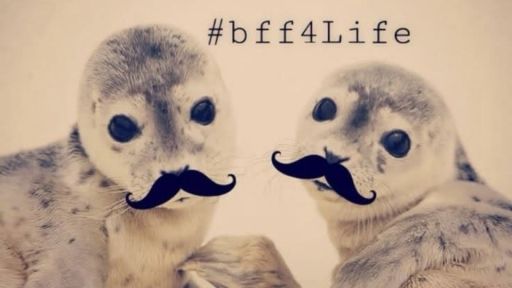 ⸝⸝ tamacord .⋆ Discord server banner