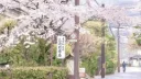 Solstice 𓂃 Social Server Banner