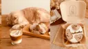 🧸𓏲⋆. Caramel Corner 。🐾˚ server banner